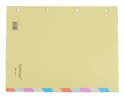 Separador Cartonex Ref 12 P